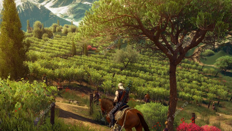 The Witcher 3: Blood and Wine expansion launches today, new launch trailer released