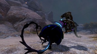Guild Wars 2's sixth mount Roller Beetle revealed