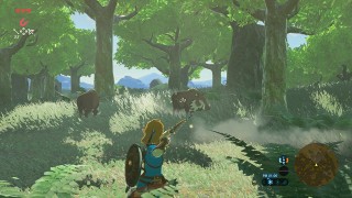 The Legend of Zelda: Breath of the Wild to get $20 downloadable content