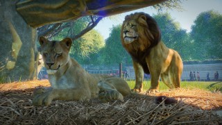 Planet Coaster developer announces Planet Zoo wildlife world building game