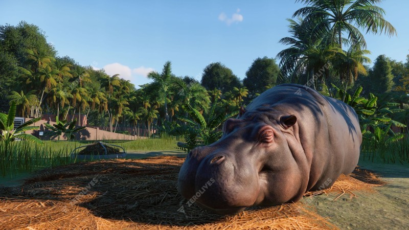 Planet Zoo wildlife world building game gets new trailer and release date