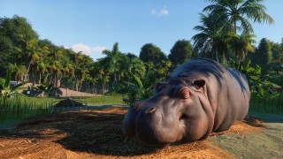 Planet Zoo wildlife world building game gets new trailer and release date