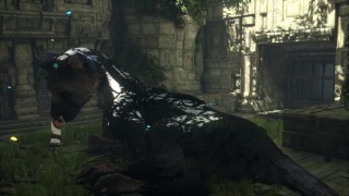 The Last Guardian re-introduced for PlayStation 4