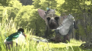 New The Last Guardian trailer released